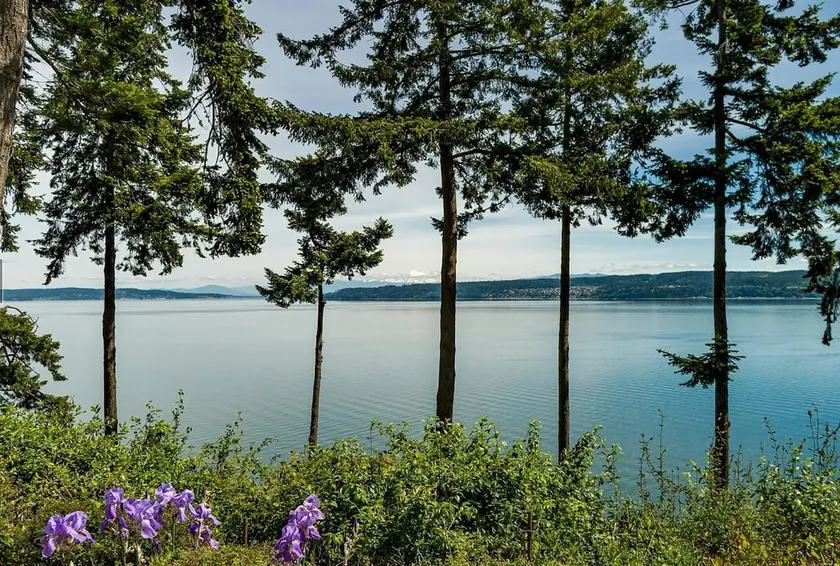 La Sirène —Whidbey's Highest-Rated Coastal Retreat - Image 1