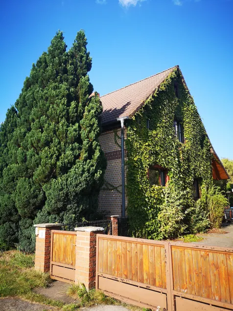 Large vacation home, 'book island' on Lake Bergwitz - Image 1