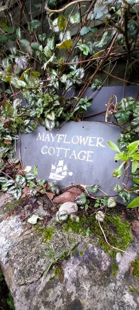 Charming 1800s cottage near Devon's coastal gems - Image 1