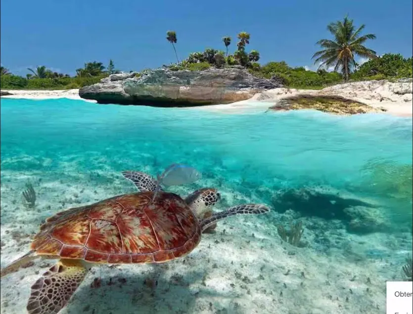 Beach, sun, sand, peace and harmony - Image 1