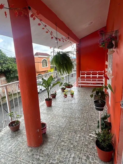 Spacious Apartment with Terrace - Image 1