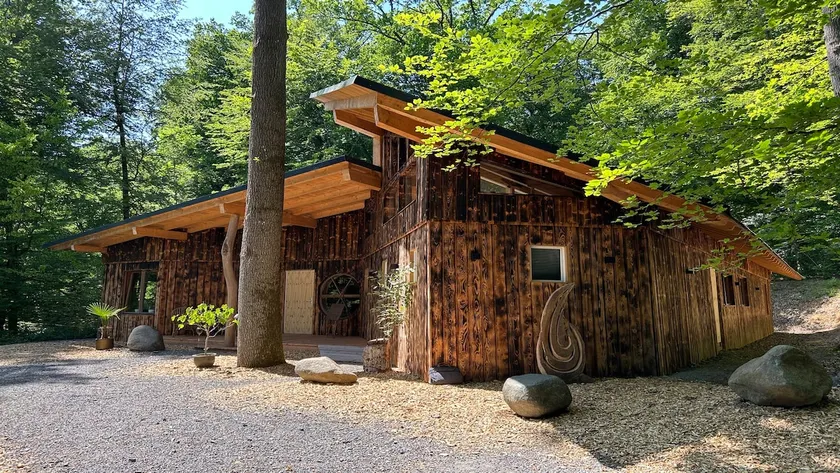 Exclusive Forest Home “Flow”: Nature & Luxury - Image 1