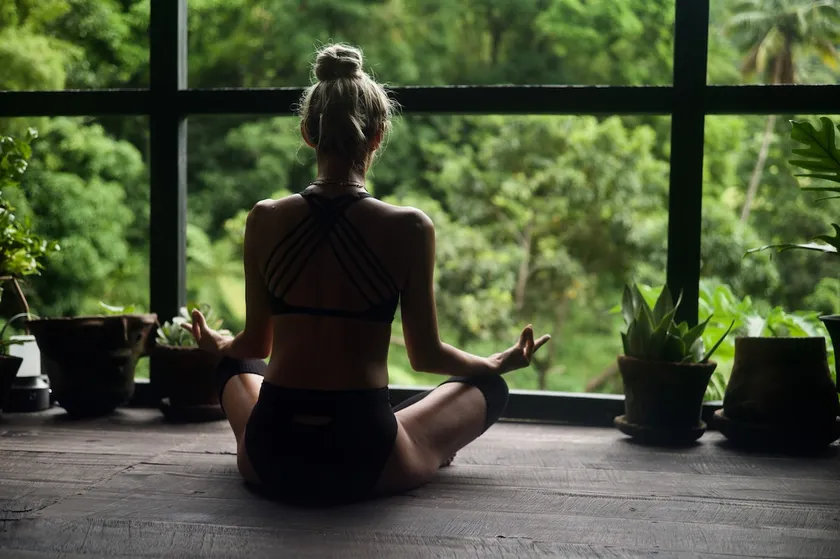 Nicey Farms Forest Bathing Sanctuary - Image 1
