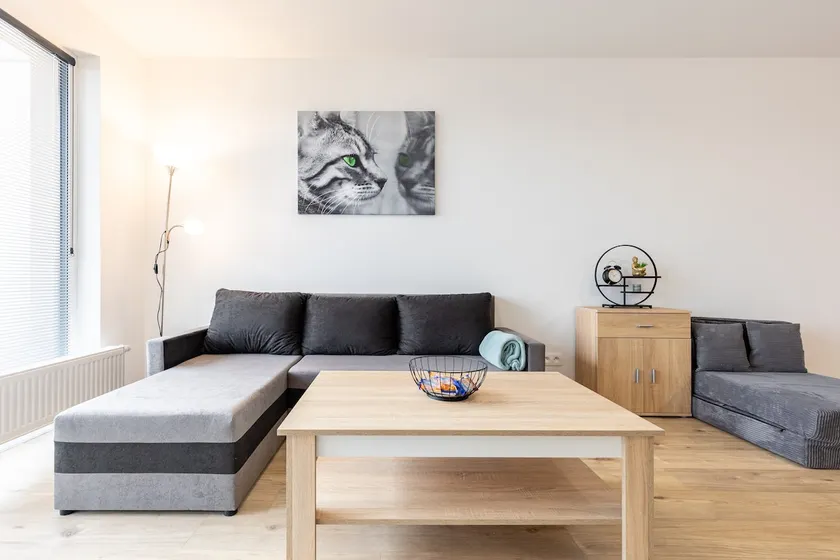 Sunny Haven: Modern 2BR,Garage, WiFi,Stream - Image 1