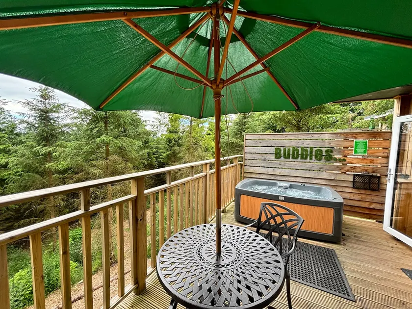 Catkin Lodge with Hot Tub - Image 1