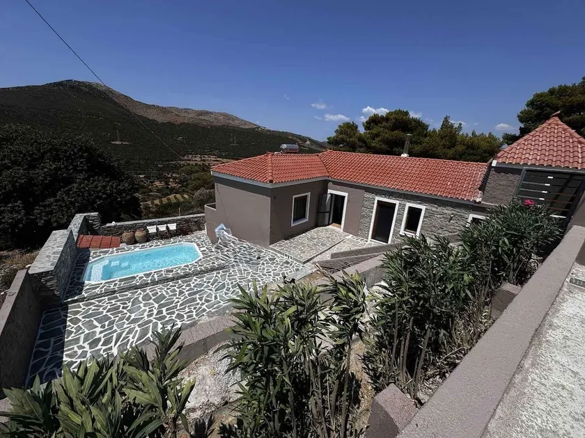 Land Of Olive - Image 1