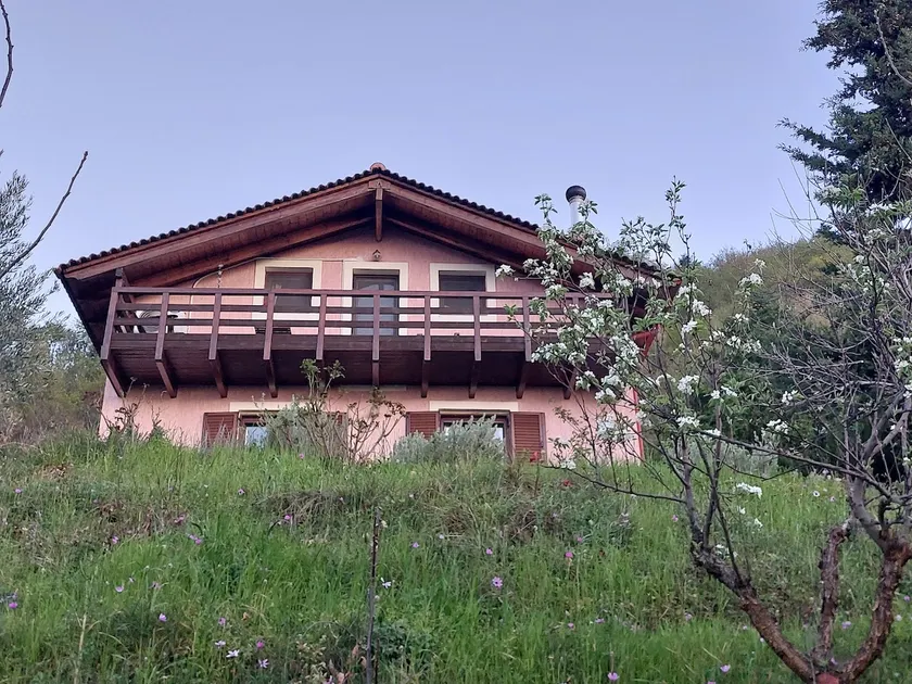 Ipati Forest Chalet - Image 1
