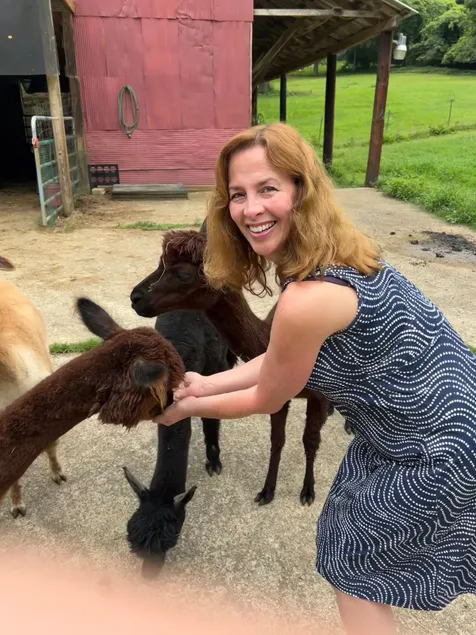 Alpaca Farm Adventure Awaits! - Image 1