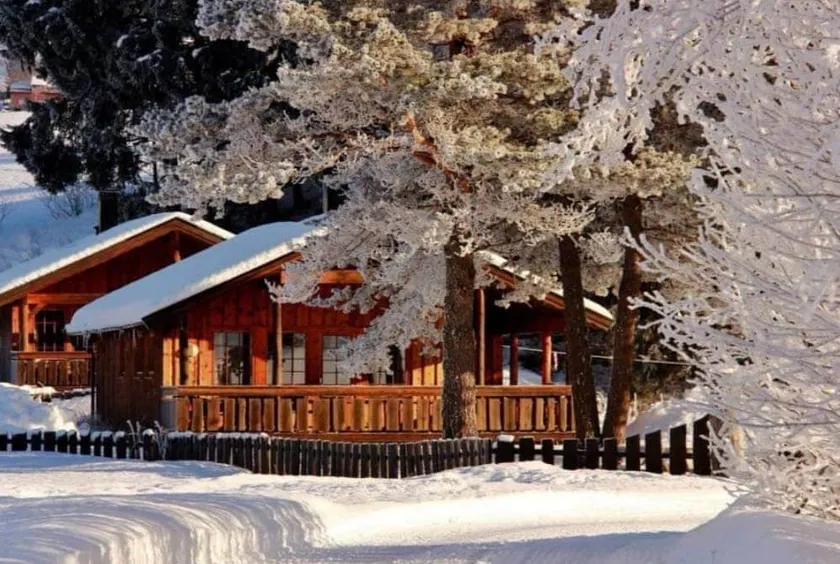 Nice spacious family cabin - Image 1