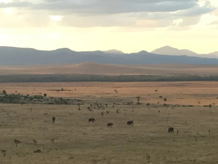 Home overlooking wildlife conservancy - Image 1