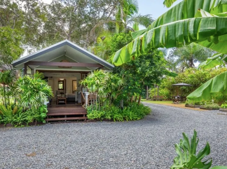 Plantation - Image 1