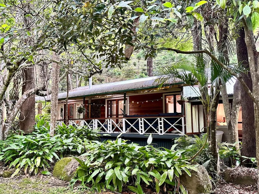 Creekside Rainforest Retreat - Image 1