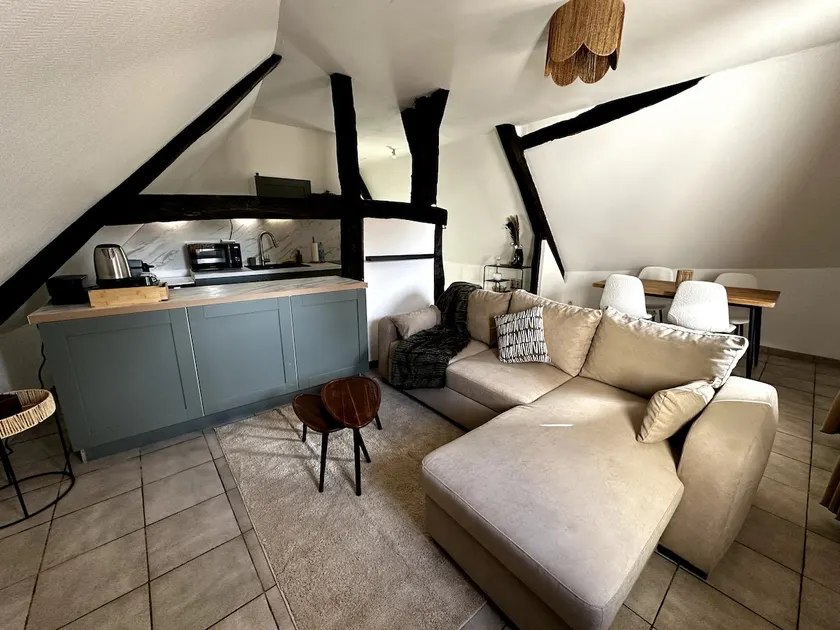 Spacious and bright apartment 5-10 min Auxerre - Image 1