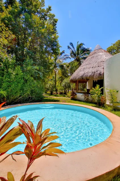 1-bedroom villa in the jungle - Image 1