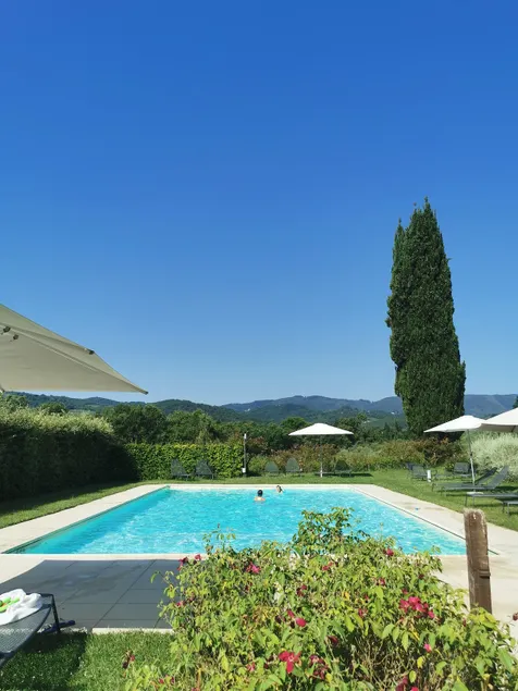 Among Vineyards and Nature - Image 1