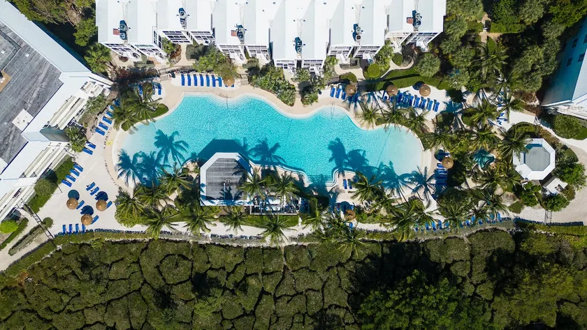 Papo's Paradise - Image 1