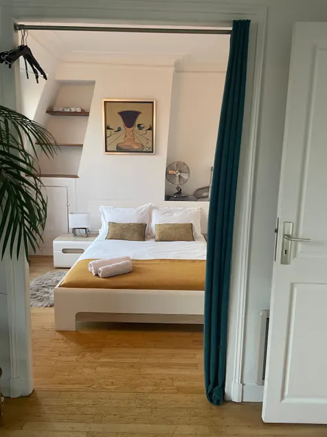 Real Parisian flat luxury area - Image 1