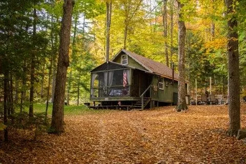 Bear Necessities - Image 1
