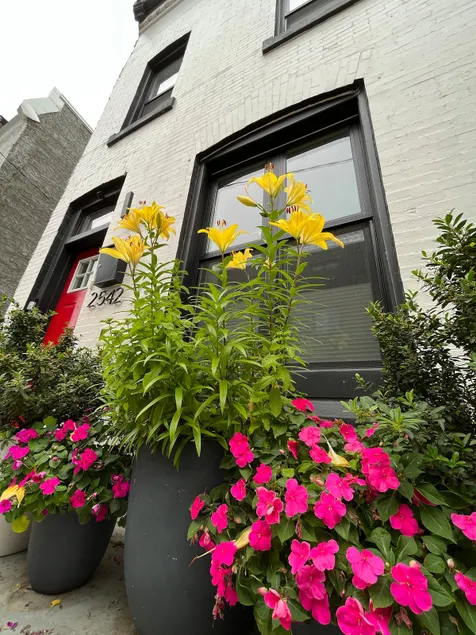 Your artisan Philly home: The Brewerytown Bungalow - Image 1