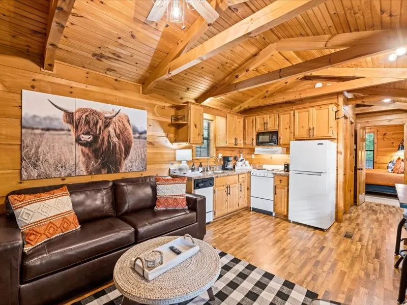 Honeymoon Cottage Breathtaking Views w/ Hot Tub! - Image 1