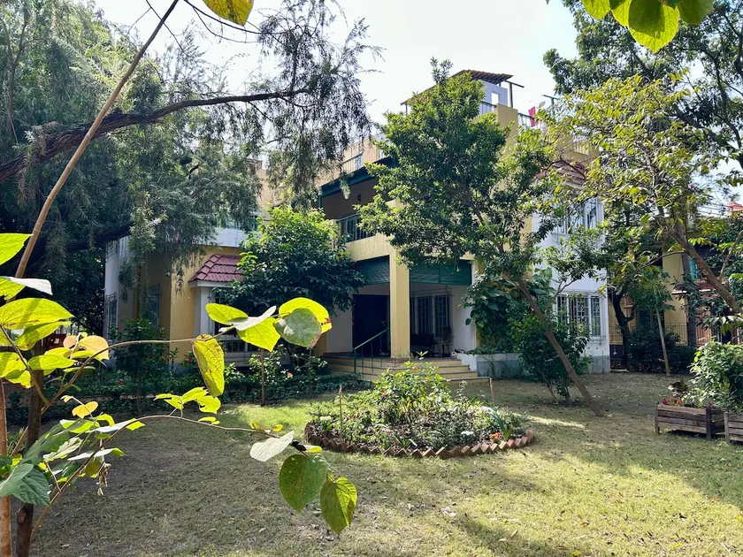 Modern bungalow hugged by trees - Image 1