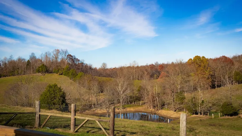 Cowbell Cottage farm stay - Image 1