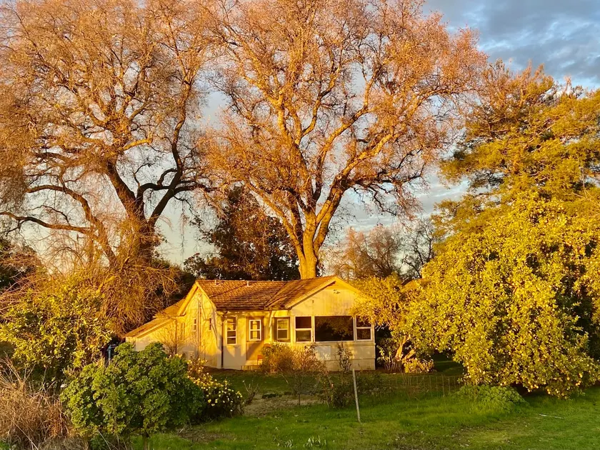 Quiet Country 1-Bedroom Guest Cottage - Image 1