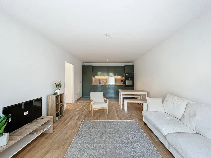 Le Bleuet - Near Paris - 2 BDR - Terrace - Image 1