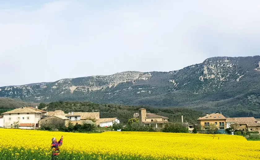 Basaula Berri accommodation in Navarre - Image 1