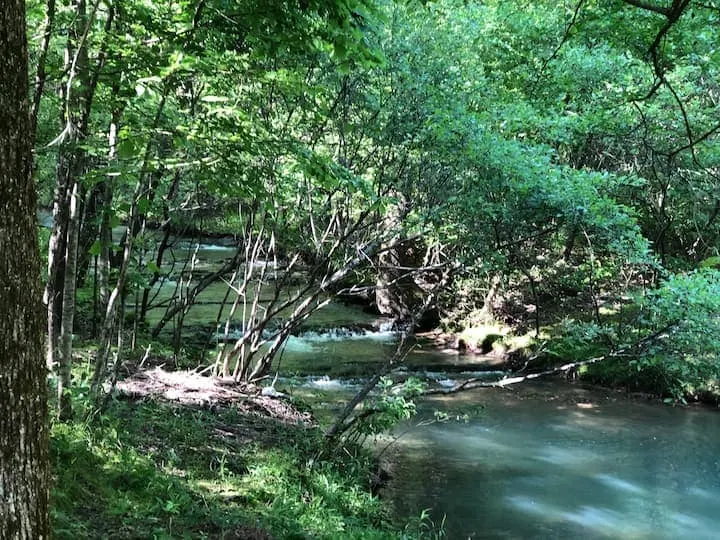 Blue Creek Farms - Image 1