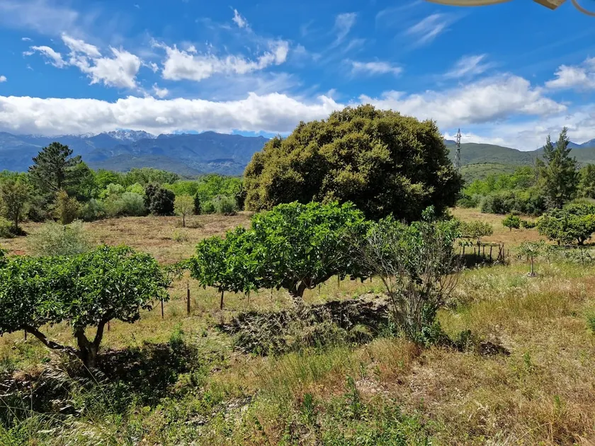 Villa between sea and mountains - Image 1