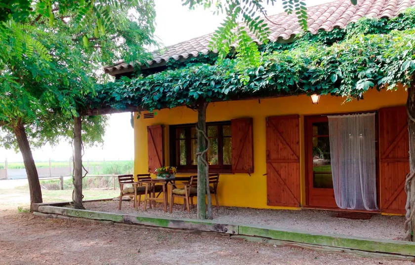 House with pool and high capacity in the heart of the Delta Ebro, 5 min. of the beach - Image 1