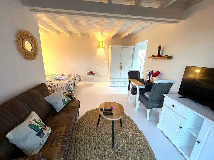 Cactus Studio - Image 1