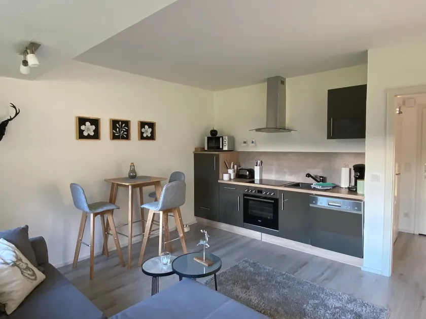 Modern apartment in Willingen right on the Skywalk - Image 1