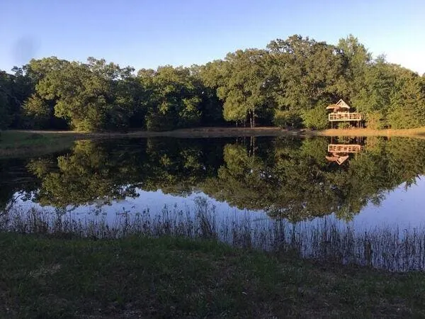Hummingbird Tree House - Image 1