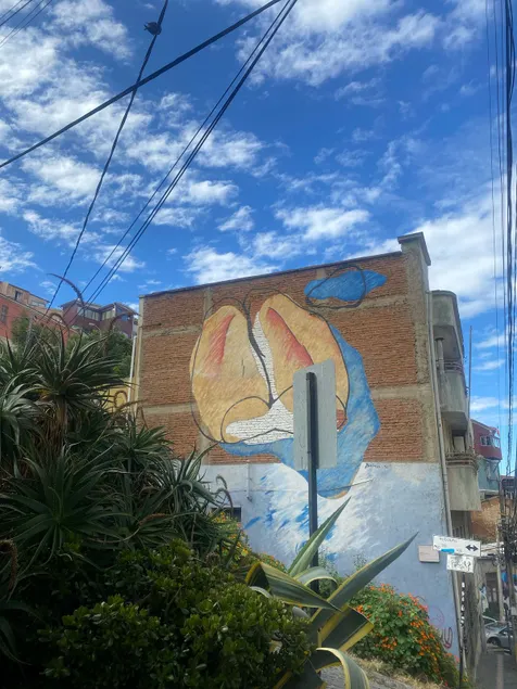 The Chasconcita. - Image 1