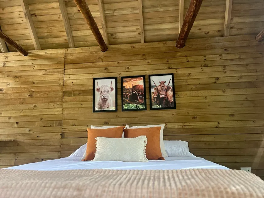 Luxury riverfront cabin - Image 1
