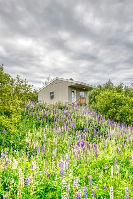 Cozy pet-friendly cabin for 4! - Image 1