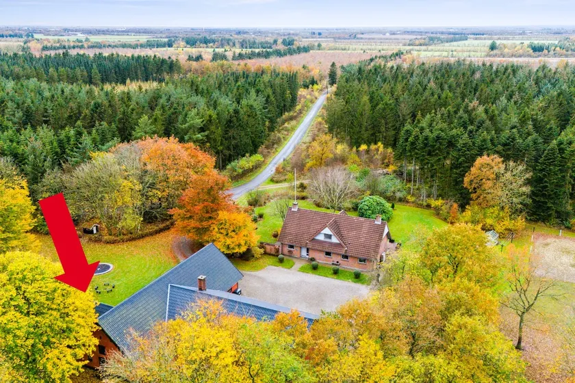 Childfriendly home in the woods - Image 1