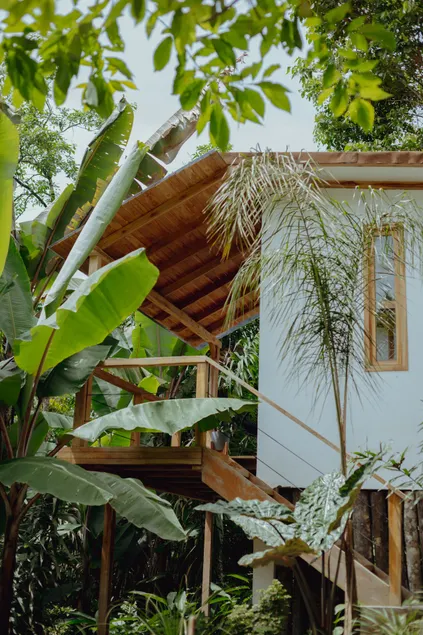 Cinco Cerros | Banana Cabin - Image 1