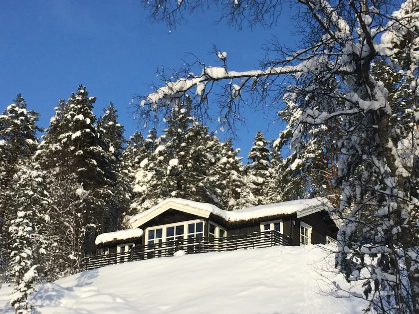 Millebu - Image 1
