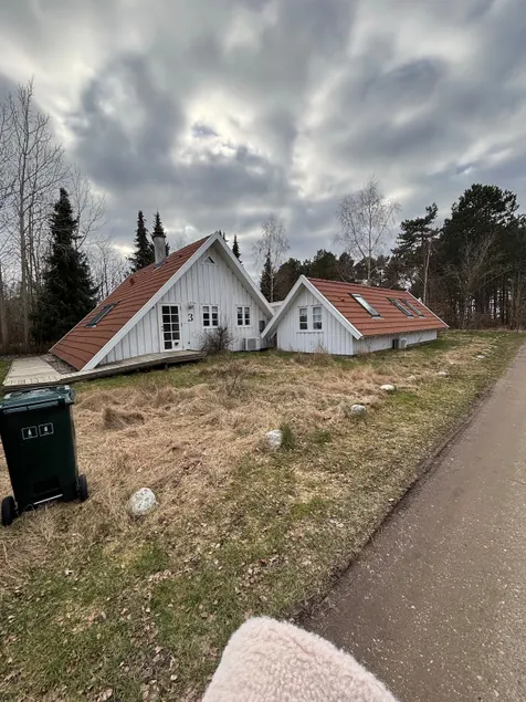 Lovely handicap-friendly cottage - Image 1