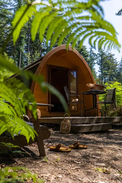 Compact and luxurious in a Pod - Image 1