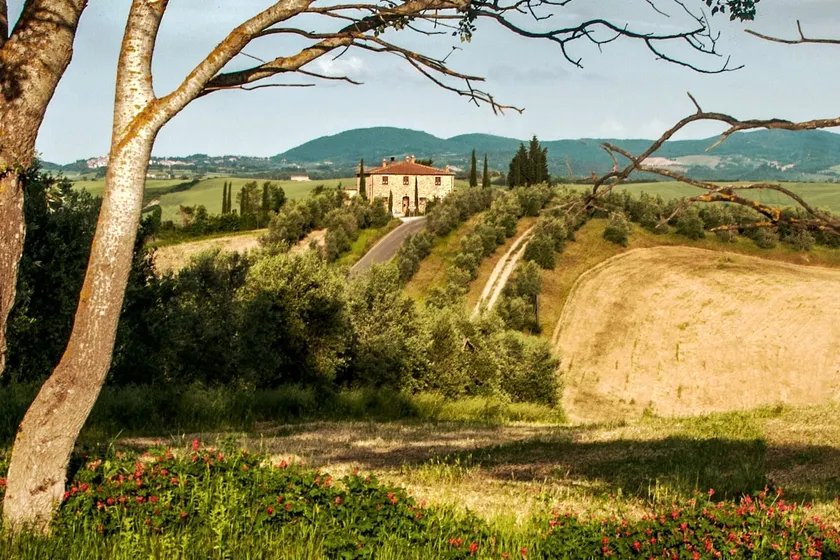 Romantic Yellow apartment in Crete Senesi - Image 1