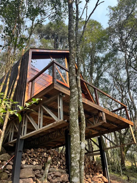 Araucária Cottage - Image 1