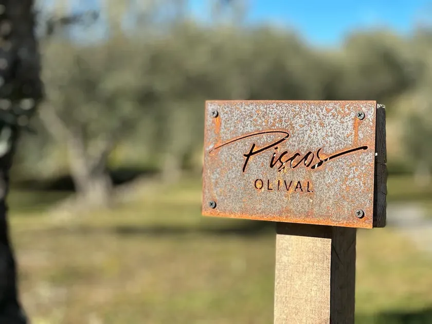 Piscos Olival - Image 1