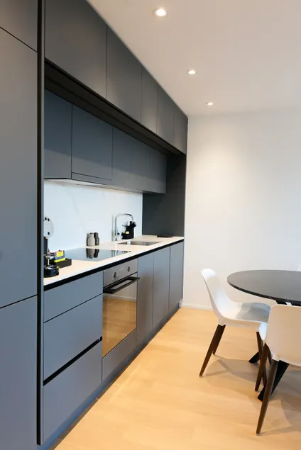 Zurich | Horgen | Lake Side Apartment | 504 - Image 1