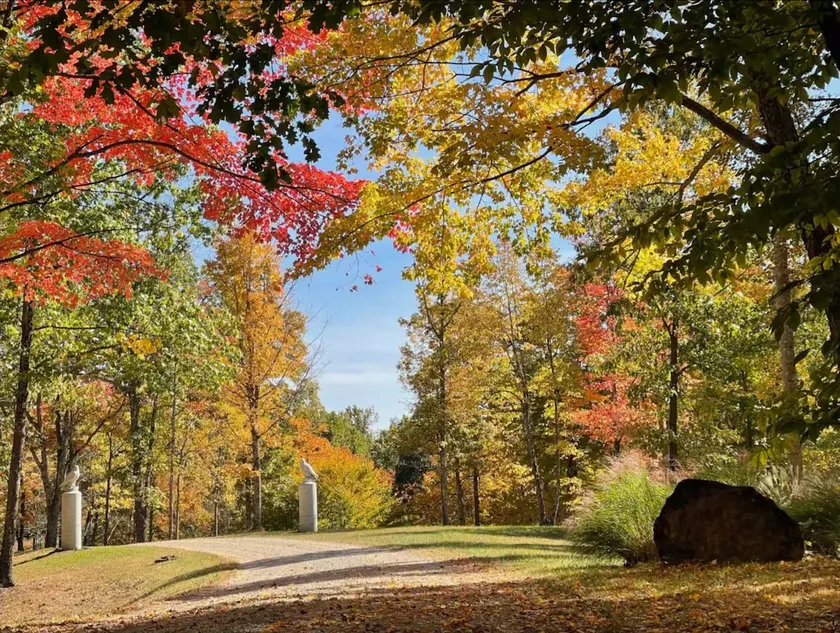 Boone Cabin in Moonville Forest - Image 1