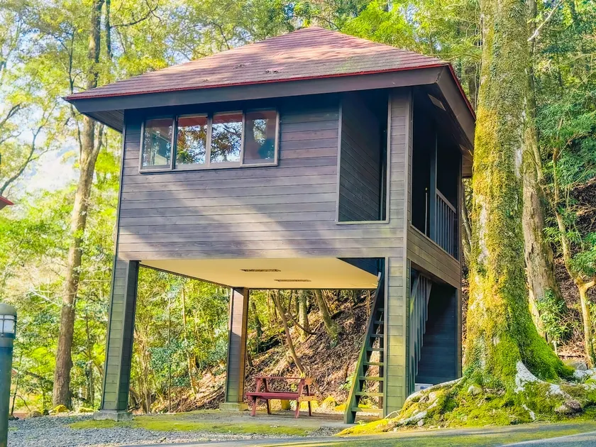 An inn in a national park that feels like a tree house - Image 1