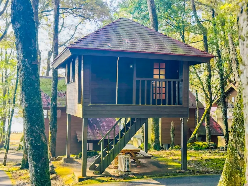 Simple stay in a bungalow like a tree house - Image 1